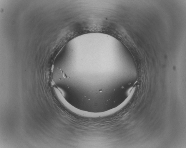 X0000064040697200602242321