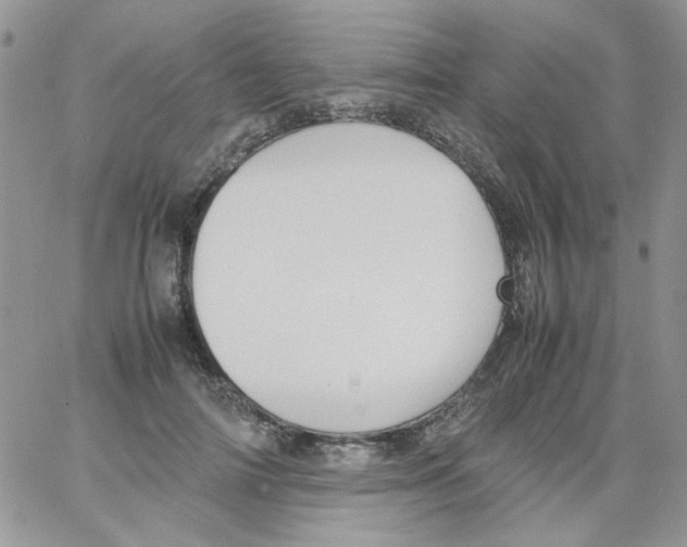 X0000064040698200602242321