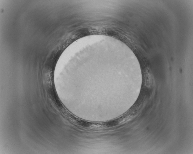 X0000064040699200602242321