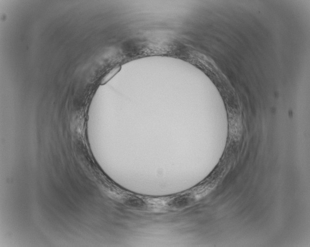 X0000064040701200602242321