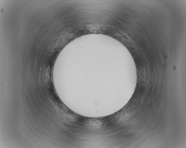 X0000064040702200602242321