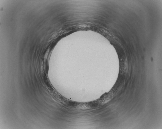 X0000064040704200602242321