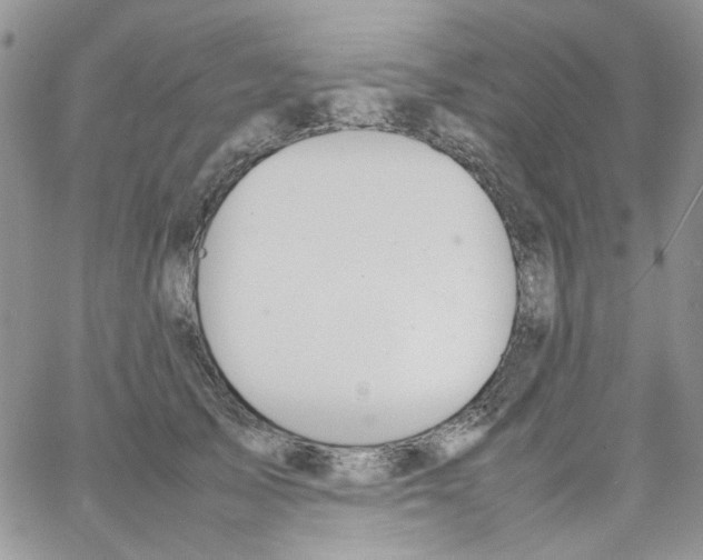 X0000064040705200602242321