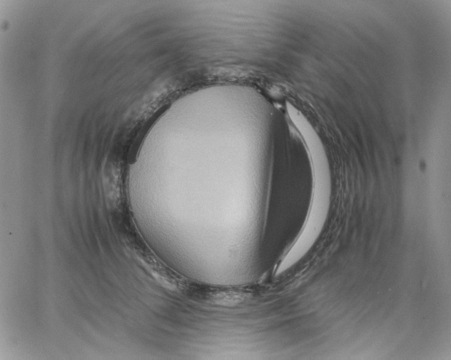 X0000064040708200602242321