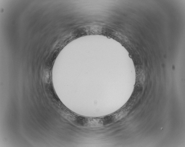 X0000064040709200602242320