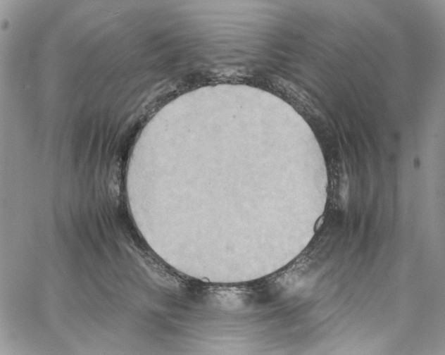 X0000064040710200602242320