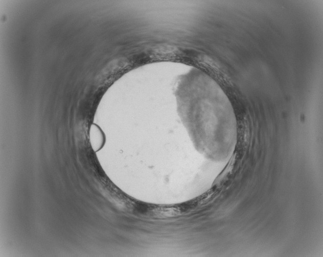 X0000064040711200602242320