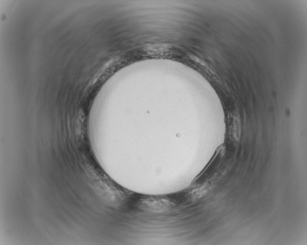 X0000064040712200602242320