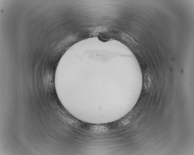 X0000064040714200602242320