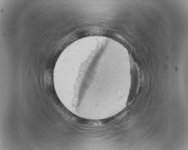 X0000064040715200602242320