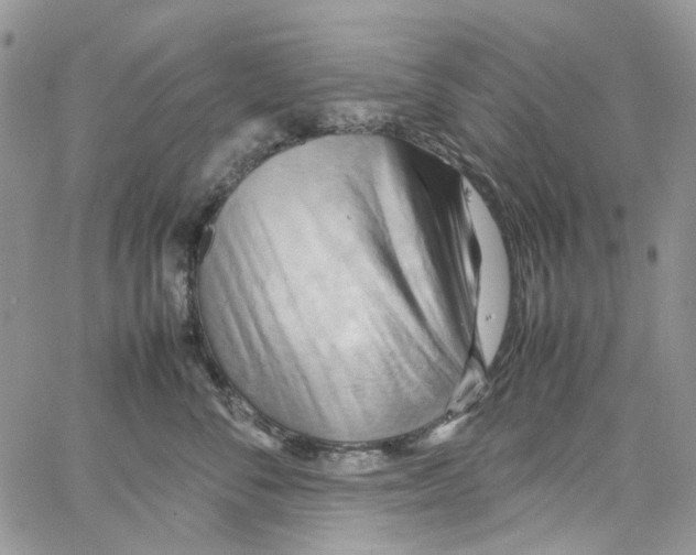 X0000064040716200602242320