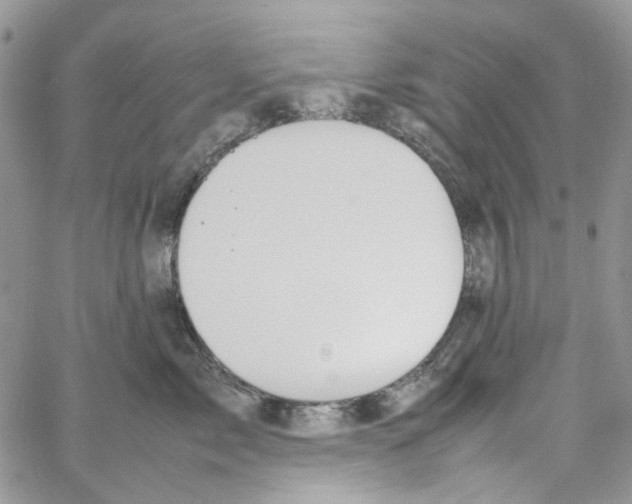 X0000064040717200602242320