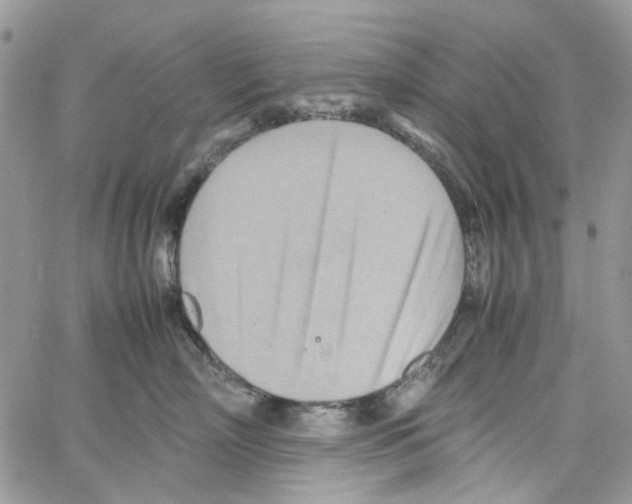 X0000064040718200602242320