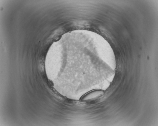 X0000064040719200602242320