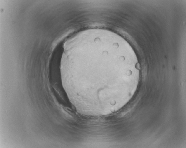 X0000064040721200602242320