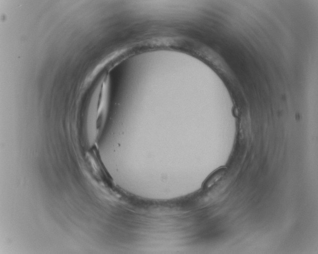 X0000064040722200602242320