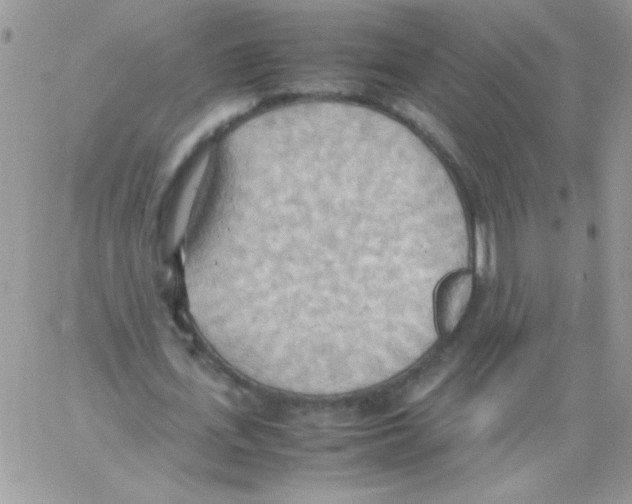 X0000064040723200602242320