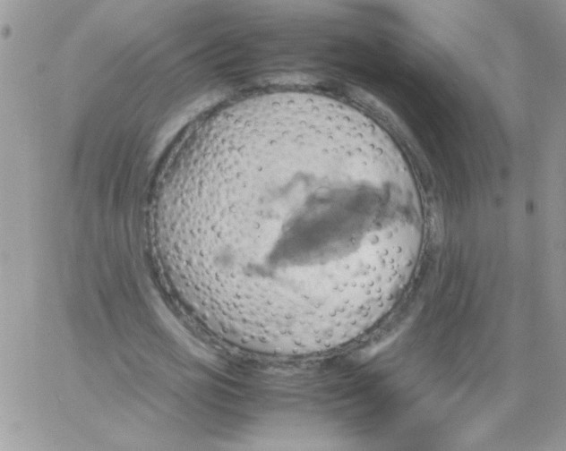 X0000064040725200602242320