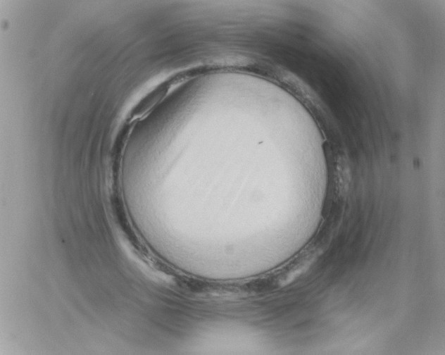 X0000064040726200602242320