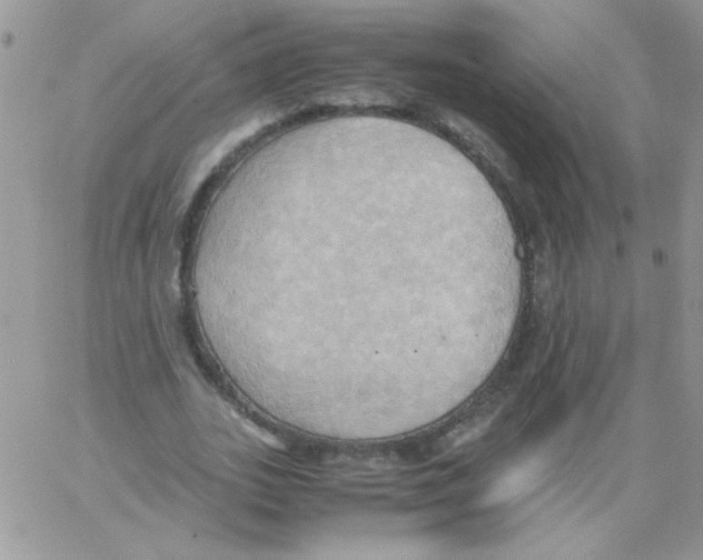 X0000064040727200602242320