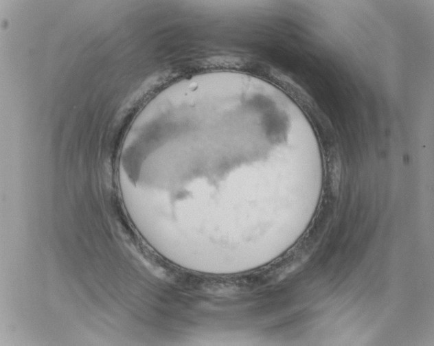 X0000064040729200602242320