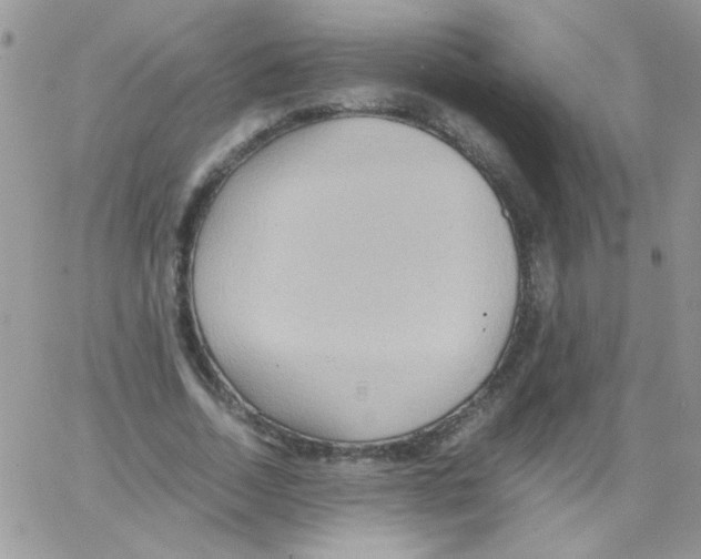 X0000064040730200602242320