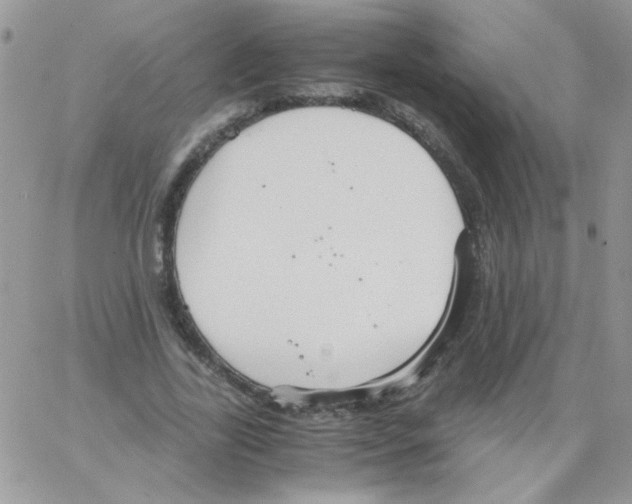 X0000064040731200602242320