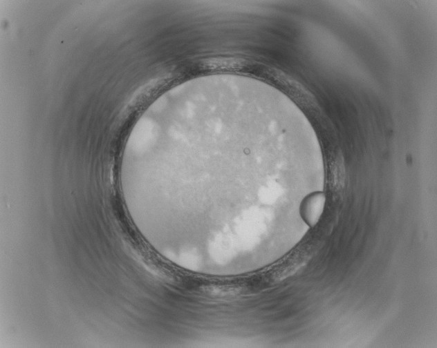 X0000064040733200602242320