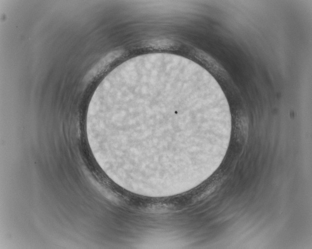 X0000064040734200602242320