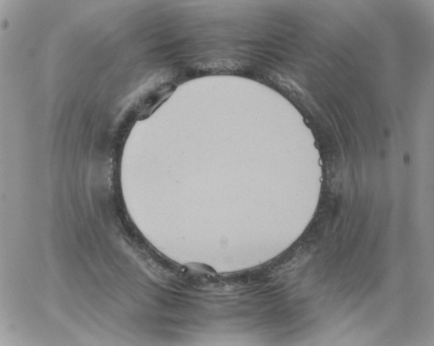 X0000064040735200602242320