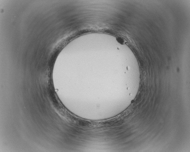 X0000064040736200602242320