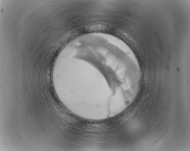 X0000064040737200602242320