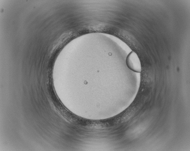 X0000064040738200602242320