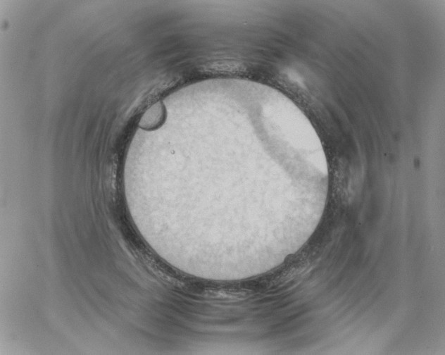 X0000064040739200602242320