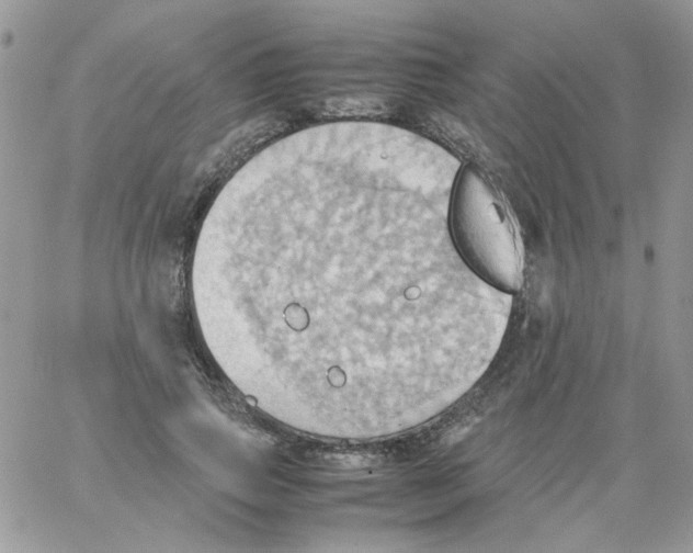 X0000064040741200602242320