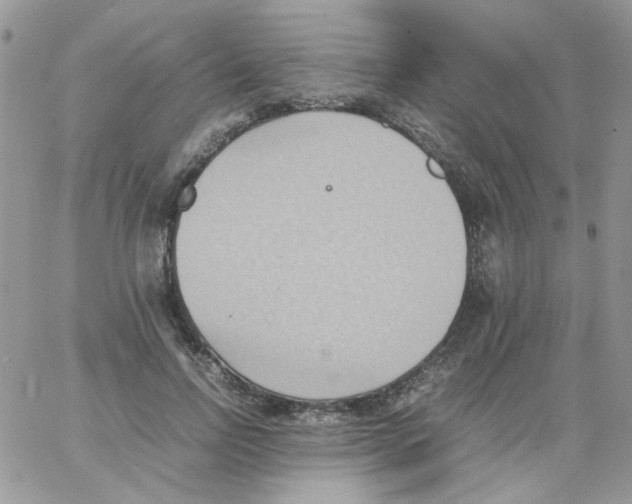 X0000064040742200602242320