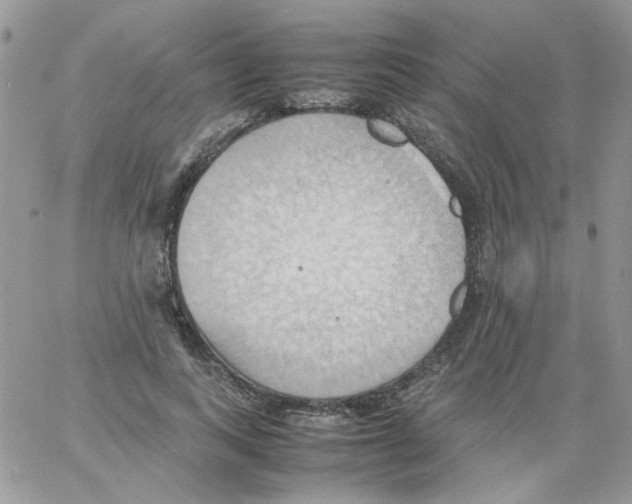 X0000064040743200602242320