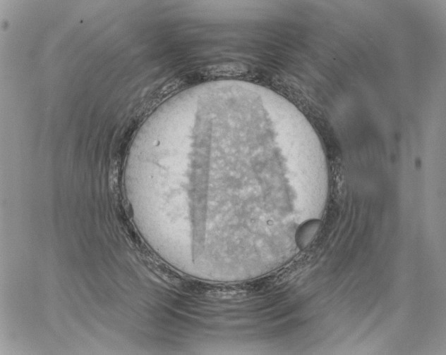 X0000064040745200602242320