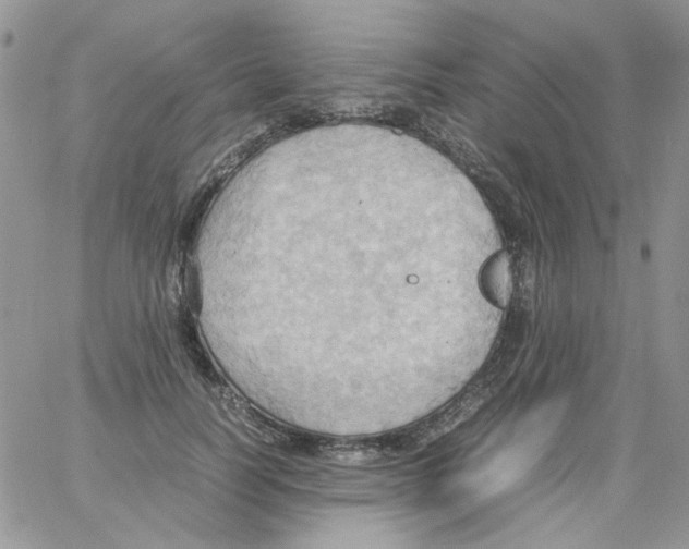 X0000064040746200602242320