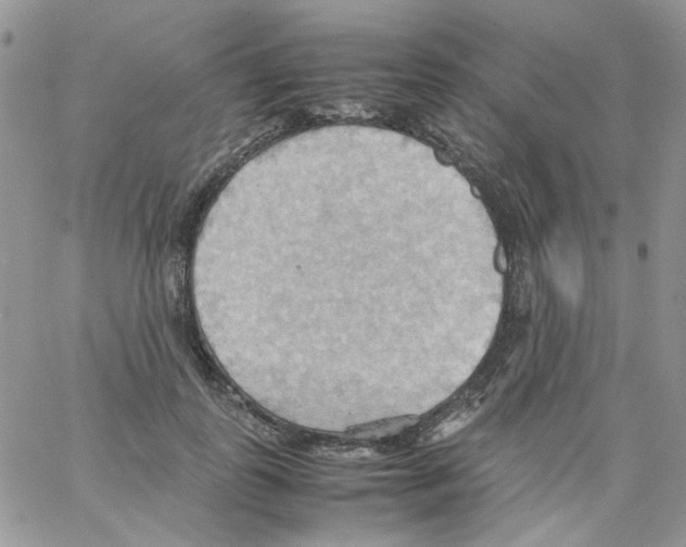 X0000064040747200602242320