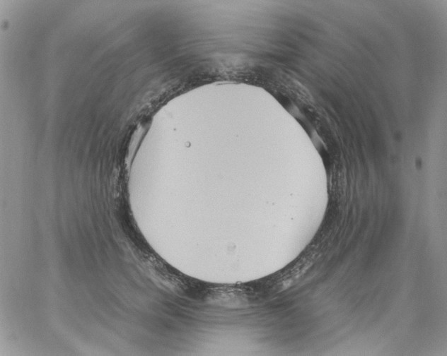 X0000064040750200602242320