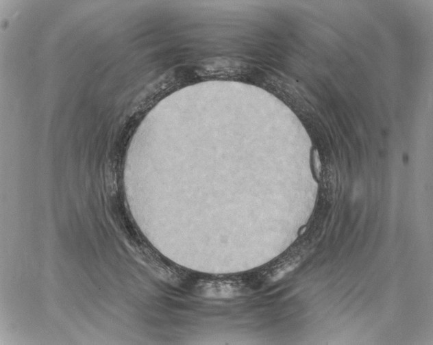 X0000064040751200602242320