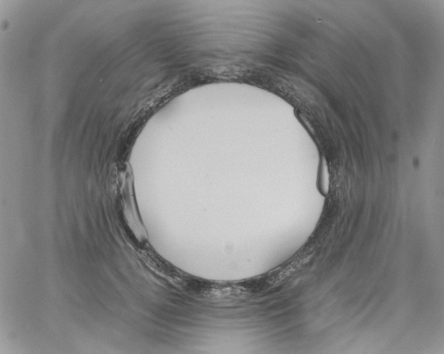 X0000064040752200602242320