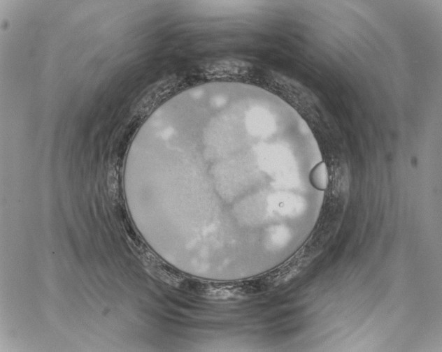 X0000064040753200602242320