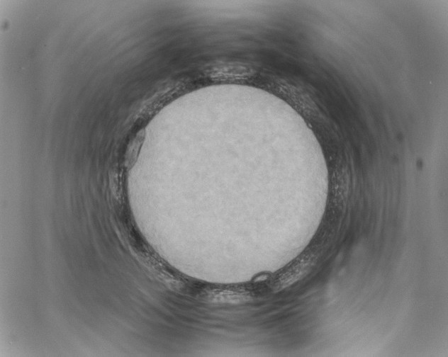 X0000064040755200602242320