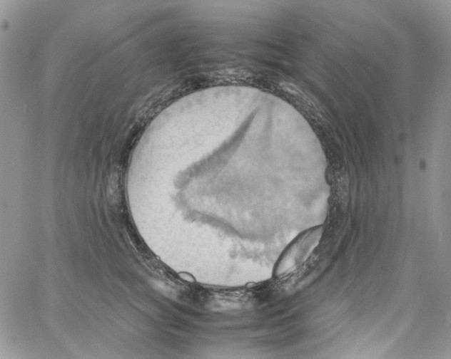 X0000064040757200602242320