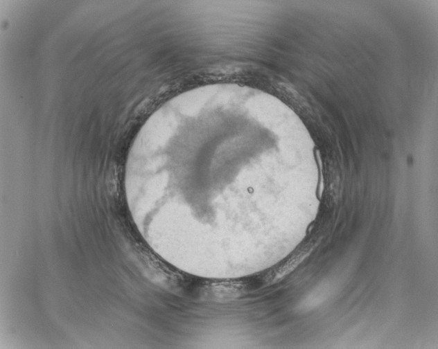 X0000064040758200602242320