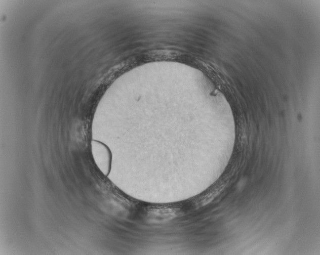 X0000064040759200602242320