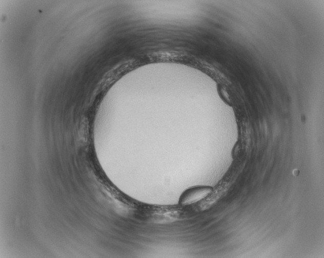 X0000064040760200602242320