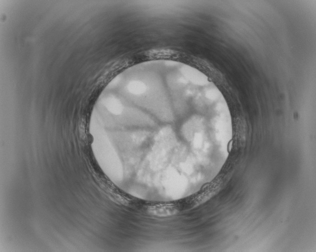 X0000064040761200602242320